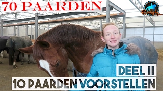 70 paarden  deel II 10 paarden voorstellen  Paardrijden met Plezier [upl. by Suivatal]