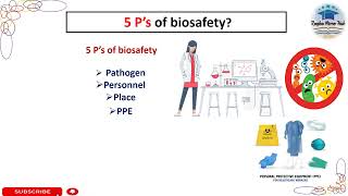 5Ps of biosafety biosafety microbiology raqbamicrohub laboratory [upl. by Suzie104]