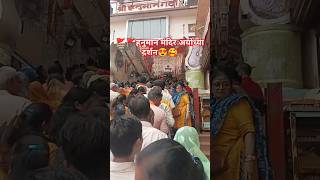 Ayodhya Ram mandir darshan youtubeshorts ayodhya viralvideo trending [upl. by Heiney]