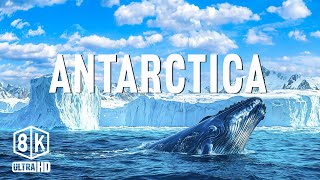 Antarctica 8K UHD – Experience life in the harshest polar region on Earth [upl. by Risan]