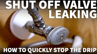 Leaking Shut Off Valve Under Sink  Faucet Valve Leaking  How to Fix a Leaky Shut Off Valve Quickly [upl. by Woo]