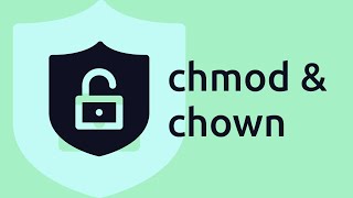 How to use CHMOD and CHOWN command  Managing the File Permissions and Ownership in Linux [upl. by Bess337]