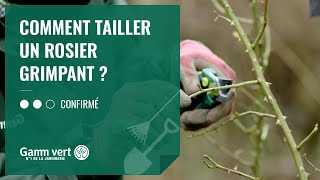 TUTO Comment tailler un rosier grimpant   Jardinerie Gamm vert [upl. by Elyod809]