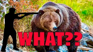 What a Professional Bear Guard in Alaska Uses Against Brown Bears [upl. by Hsak]