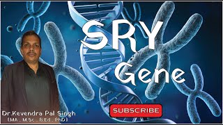 SRY Gene  What is SRY Gene  DrKevendra Pal Singh  biology education generalknowlegde [upl. by Stouffer]