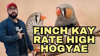 Finally Finches Kay Rate High hogye 😲 [upl. by Darcia]