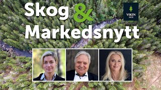 Skog amp Markedsnytt september 2024 [upl. by Lacy]