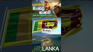 සිංහල භාෂාවේ ඉතිහාසය සහ වැදගත්කම 🇱🇰❤️  History amp Importance of Sinhala Language subscribe shorts [upl. by Roos]