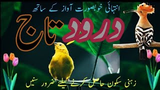 Darood E Taj  درود تاج  darood pak  Darood Shareef  درود شریف Ep35 [upl. by Barhos]