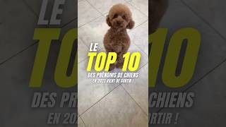 Qui est dans le Top 10  💪 [upl. by Amary]