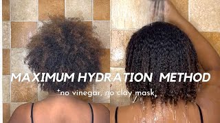 I TRIED THE MAXIMUM HYDRATION METHOD ON MY TYPE 4 HAIR  short natural hair routine [upl. by Olsewski]