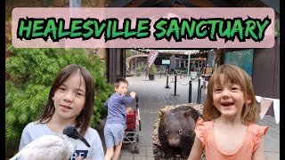 Our visit to the Healesville Sanctuary Zoo Victoria 2022 [upl. by Jessamine870]