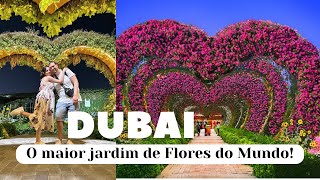 Conheça o famoso Miracle Garden em Dubai [upl. by Llekram]