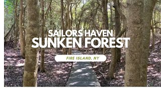 Sailors Haven Sunken Forest Fire Island Sept 2024 [upl. by Sorel]