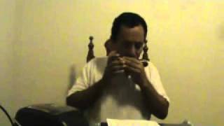 Brazil  Harmonica [upl. by Clemen]