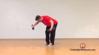 Bent Over Pronated Grip Lateral Raise [upl. by Yrehc]