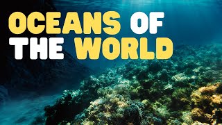 Oceans of the World for Kids  Learn all about the 5 Oceans of the Earth [upl. by Minabe831]