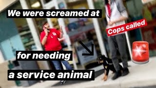 I WAS SCREAMED AT OVER MY SERVICE DOG W16 [upl. by Nichani]