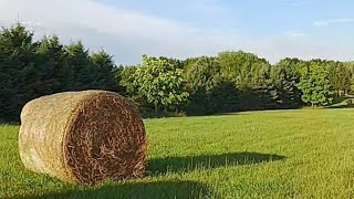 Hayfield  countrylife  haybale  round haybales [upl. by Annyrb]