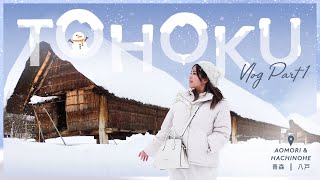 5 DAYS IN TOHOKU Vlog Part 1  Aomori  Hachinohe  Japan Winter Travel [upl. by Wampler]