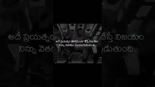 Alex G  Alexus Global Marketing Pvt Ltd  Alex G Plan Telugu alexusglobalmarketing lifedifficulties [upl. by Sillek]