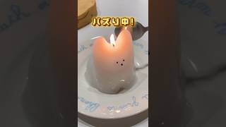 バズり中！猫プリン…キャンドルの作り方🐈⸒⸒⸒ candlemaking 韓国カフェ [upl. by Latham]