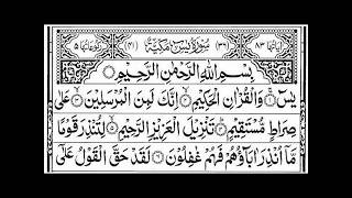 Surah Yasin Yaseen Full With Arabic  Beautiful Recitation  یس سورہ76 0210edit000104 [upl. by Karlie799]