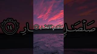 Best tilawat by the holy Quran 💕👑 shortvideo quranrecitation besttilawat qurantranslation [upl. by Ocirled]