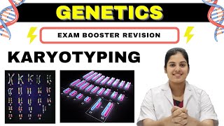 GENETICS  Karyotyping  Basics Procedure amp Application  MedSeed MBBS [upl. by Ennovihs]