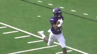 Sewanee Football  2017 Highlights [upl. by Birkett19]