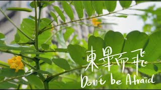 亞東科技大學113級畢業歌《東畢而飛Don’t be Afraid》Official Music Video [upl. by Animsay537]