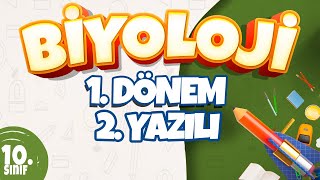 10 Sınıf 1 Dönem 2 Yazılı Hazırlık I Biyoloji [upl. by Yenitsed]