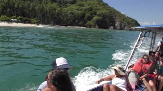 Tortuga Island Snorkeling amp Scuba Diving Tour [upl. by Acacia70]