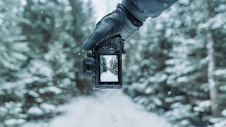 Relaxing POV Nature Photography｜Frozen Forest Exploring [upl. by Thin]