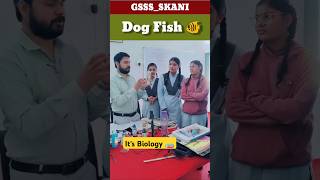 Dog Fish 🐠🐟 Biology specimen 🧫🐠📚🎯🔥 lifesciences Biologist skdigrawal biologylab [upl. by Jaimie]