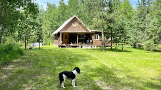 Simple Minnesota Homestead Burning Brush Cabin Addition Wiring And Insulation [upl. by Nosliw831]