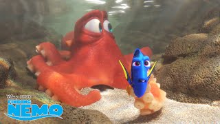 Finding Dory  Blijven Zwemmen  Disney NL [upl. by Dodd]