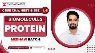 PROTEIN  AMINO ACID  BIOMOLECULES  BIOLOGY CLASS 11  CBSE NEET  OMEGA CLASSES [upl. by Anaerda]