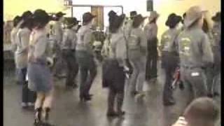 Country Line Dance  One O One Big River  Johnny Cash [upl. by Hanas]