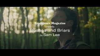 Sam Lee  Bushes and Briars Official Music Video in association with Emergence Magazine [upl. by Ariet]