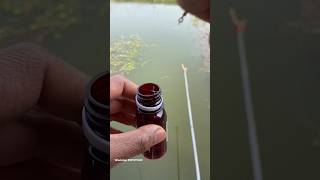 অন্য রকম মাছ ধরা shorts youtubeshorts fishing [upl. by Hsirap]