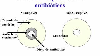 Aprenda Plugado  BACTERIOLOGIA  Aula 01 Slide 18 Teste de susceptibilidade a antibióticos [upl. by Cuthburt433]