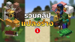 รวม quotแปลงร่างquot มายคราฟแต่ผมจะเป็นสิ่งต่างๆ ภาค 114 [upl. by Faustine]