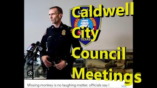 Galveston city council meetings [upl. by Aicirtal]