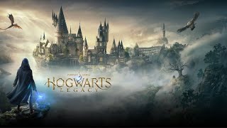 I Spent 100 Hours In Hogwarts Legacy hogwartslegacy ps5 [upl. by Ennovyhs]