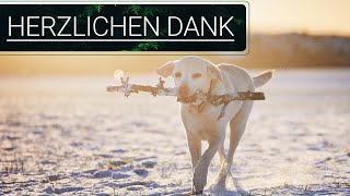 🐕🐶🎄🎄 Vielen herzlichen Dank für die Unterstützung 🐕🐶🎄🎄 [upl. by Nylsirhc]