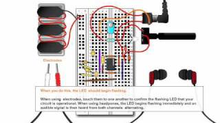 How to Construct a Blood Electrifier Circuit following Dr Beck [upl. by Venator]