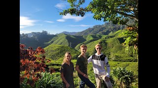 Tea time in Cameron Highlands [upl. by Toni]