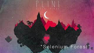 Plini quotSelenium Forestquot Backing Track  Tone Chasr Mix [upl. by Bucky]