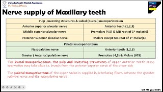 09 Summary Of Innervation Of Maxillary Teeth [upl. by Arymahs]